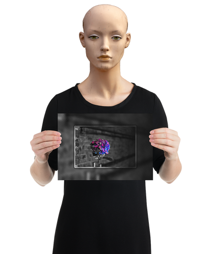 un4rt - the picture shows an edited photo. most of the picture is black and white. the main element is a hydrangea. the flowers of the hydrangea are colored. the colors are blue and purple. the background is very blurred and only dimly visible. the picture was taken at the maze-club in berlin. the picture is presented by a mannequin.