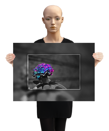 un4rt - the picture shows an edited photo. most of the picture is black and white. the main element is a hydrangea. the flowers of the hydrangea are colored. the colors are blue and purple. the background is very blurred and only dimly visible. the picture was taken at the maze-club in berlin. the picture is presented by a mannequin.