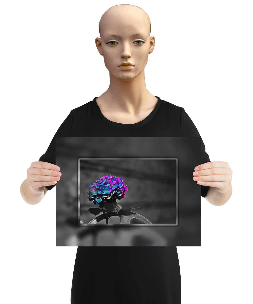 un4rt - the picture shows an edited photo. most of the picture is black and white. the main element is a hydrangea. the flowers of the hydrangea are colored. the colors are blue and purple. the background is very blurred and only dimly visible. the picture was taken at the maze-club in berlin. the picture is presented by a mannequin.