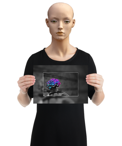 un4rt - the picture shows an edited photo. most of the picture is black and white. the main element is a hydrangea. the flowers of the hydrangea are colored. the colors are blue and purple. the background is very blurred and only dimly visible. the picture was taken at the maze-club in berlin. the picture is presented by a mannequin.