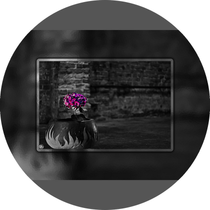 un4rt - the picture shows an edited photo. most of the picture is black and white. the main element is a hydrangea. the flowers of the hydrangea are colored. the colors are blue and purple. the background is very blurred and only dimly visible. the picture was taken at the maze-club in berlin.