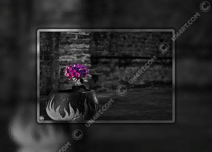 un4rt - the picture shows an edited photo. most of the picture is black and white. the main element is a hydrangea. the flowers of the hydrangea are colored. the colors are blue and purple. the background is very blurred and only dimly visible. the picture was taken at the maze-club in berlin.