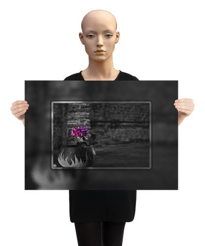 un4rt - the picture shows an edited photo. most of the picture is black and white. the main element is a hydrangea. the flowers of the hydrangea are colored. the colors are blue and purple. the background is very blurred and only dimly visible. the picture was taken at the maze-club in berlin. the picture is presented by a mannequin.