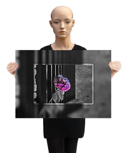 un4rt - the picture shows an edited photo. most of the picture is black and white. the main element is a hydrangea. the flowers of the hydrangea are colored. the colors are blue and purple. the background is very blurred and only dimly visible. the picture was taken at the maze-club in berlin. the picture is presented by a mannequin.