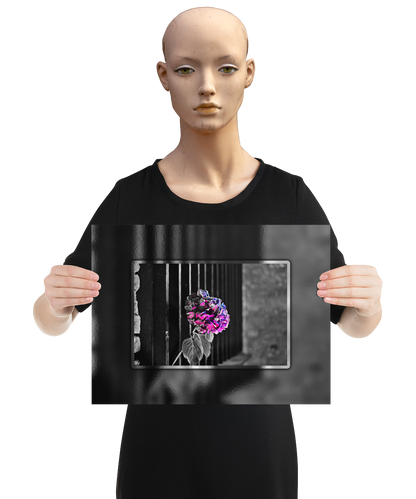 un4rt - the picture shows an edited photo. most of the picture is black and white. the main element is a hydrangea. the flowers of the hydrangea are colored. the colors are blue and purple. the background is very blurred and only dimly visible. the picture was taken at the maze-club in berlin. the picture is presented by a mannequin.