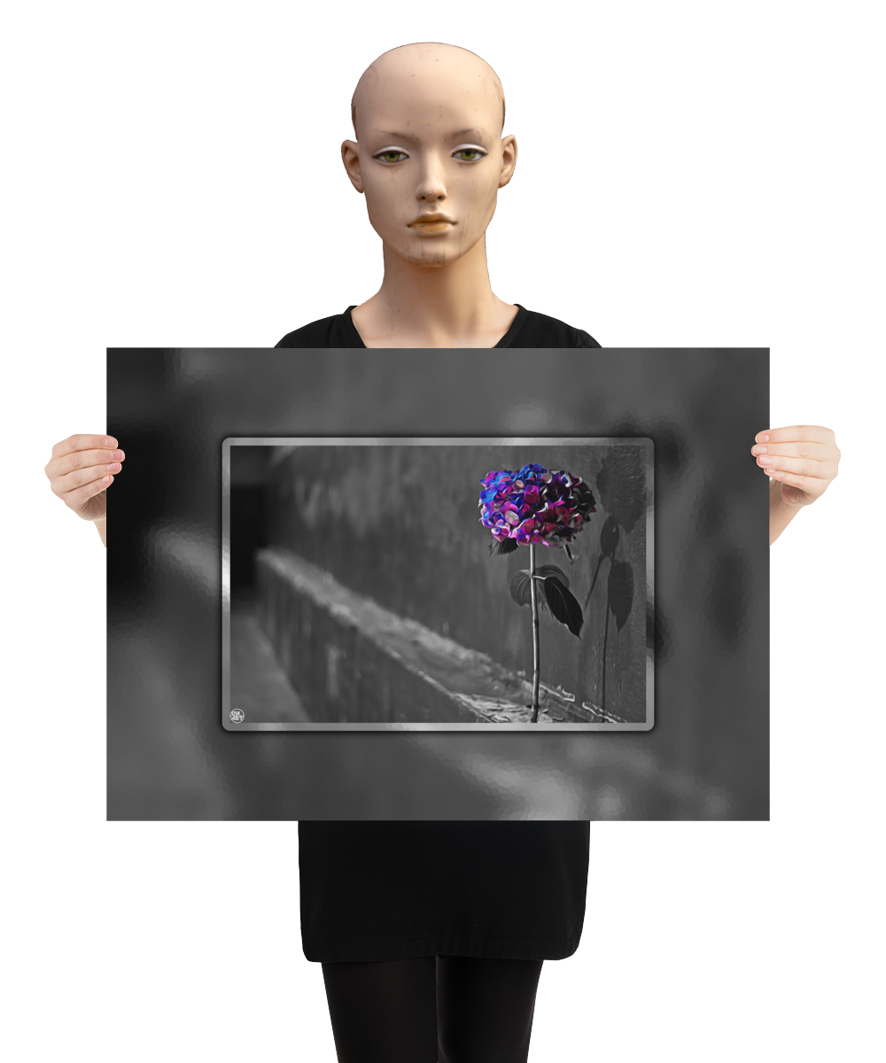 un4rt - the picture shows an edited photo. most of the picture is black and white. the main element is a hydrangea. the flowers of the hydrangea are colored. the colors are blue and purple. the background is very blurred and only dimly visible. the picture was taken at the maze-club in berlin. the picture is presented by a mannequin.