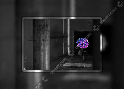 un4rt - the picture shows an edited photo. most of the picture is black and white. the main element is a hydrangea. the flowers of the hydrangea are colored. the colors are blue and purple. the background is very blurred and only dimly visible. the picture was taken at the maze-club in berlin.