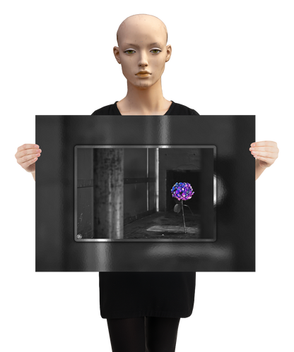 un4rt - the picture shows an edited photo. most of the picture is black and white. the main element is a hydrangea. the flowers of the hydrangea are colored. the colors are blue and purple. the background is very blurred and only dimly visible. the picture was taken at the maze-club in berlin. the picture is presented by a mannequin.