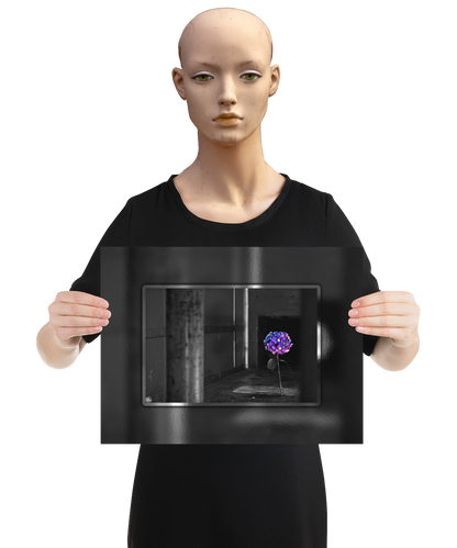 un4rt - the picture shows an edited photo. most of the picture is black and white. the main element is a hydrangea. the flowers of the hydrangea are colored. the colors are blue and purple. the background is very blurred and only dimly visible. the picture was taken at the maze-club in berlin. the picture is presented by a mannequin.