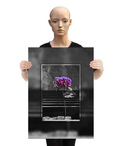 un4rt - the picture shows an edited photo. most of the picture is black and white. the main element is a hydrangea. the flowers of the hydrangea are colored. the colors are blue and purple. the background is very blurred and only dimly visible. the picture was taken at the maze-club in berlin. the picture is presented by a mannequin.