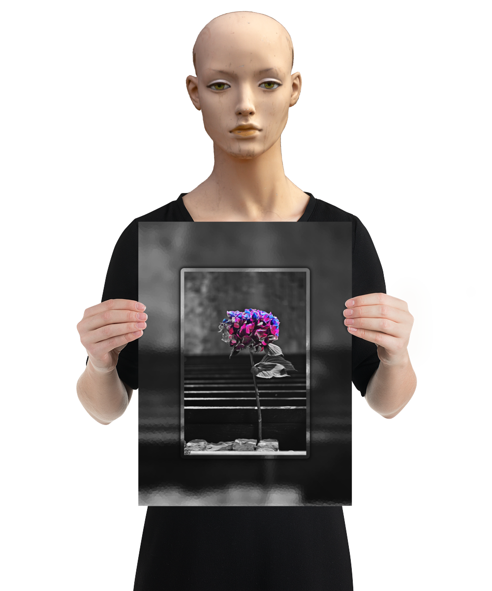 un4rt - the picture shows an edited photo. most of the picture is black and white. the main element is a hydrangea. the flowers of the hydrangea are colored. the colors are blue and purple. the background is very blurred and only dimly visible. the picture was taken at the maze-club in berlin. the picture is presented by a mannequin.