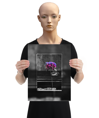 un4rt - the picture shows an edited photo. most of the picture is black and white. the main element is a hydrangea. the flowers of the hydrangea are colored. the colors are blue and purple. the background is very blurred and only dimly visible. the picture was taken at the maze-club in berlin. the picture is presented by a mannequin.