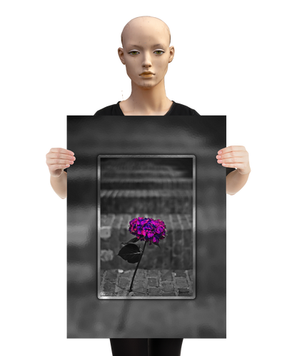 un4rt - the picture shows an edited photo. most of the picture is black and white. the main element is a hydrangea. the flowers of the hydrangea are colored. the colors are blue and purple. the background is very blurred and only dimly visible. the picture was taken at the maze-club in berlin. the picture is presented by a mannequin.