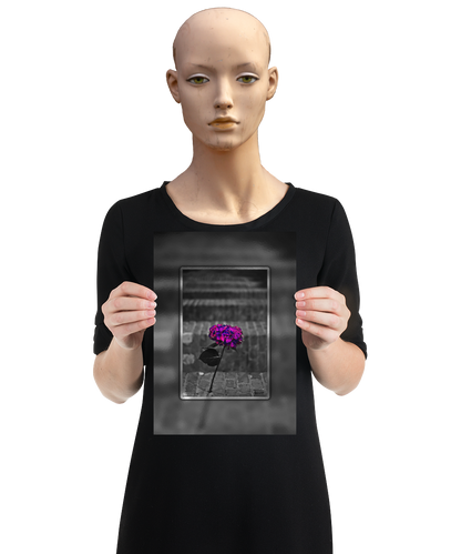 un4rt - the picture shows an edited photo. most of the picture is black and white. the main element is a hydrangea. the flowers of the hydrangea are colored. the colors are blue and purple. the background is very blurred and only dimly visible. the picture was taken at the maze-club in berlin. the picture is presented by a mannequin.