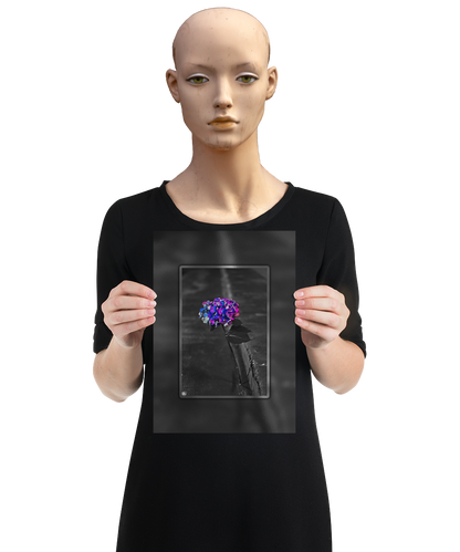 un4rt - the picture shows an edited photo. most of the picture is black and white. the main element is a hydrangea. the flowers of the hydrangea are colored. the colors are blue and purple. the background is very blurred and only dimly visible. the picture was taken at the maze-club in berlin. the picture is presented by a mannequin.