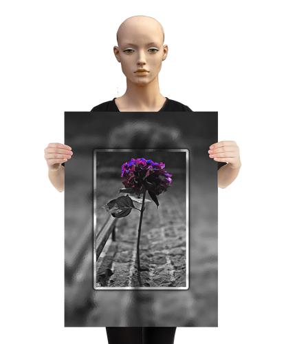 un4rt - the picture shows an edited photo. most of the picture is black and white. the main element is a hydrangea. the flowers of the hydrangea are colored. the colors are blue and purple. the background is very blurred and only dimly visible. the picture was taken at the maze-club in berlin. the picture is presented by a mannequin.