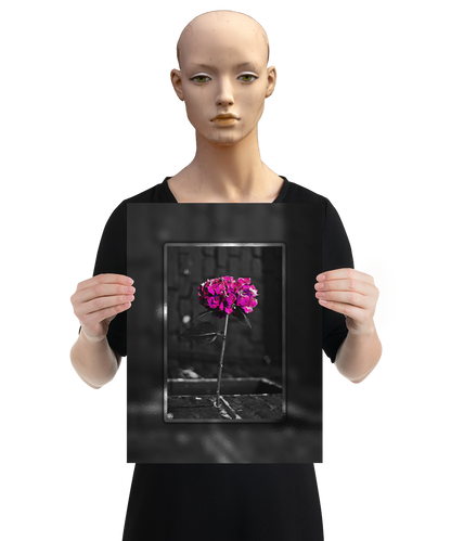 un4rt - the picture shows an edited photo. most of the picture is black and white. the main element is a hydrangea. the flowers of the hydrangea are colored. the colors are blue and purple. the background is very blurred and only dimly visible. the picture was taken at the maze-club in berlin. the picture is presented by a mannequin.