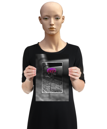 un4rt - the picture shows an edited photo. most of the picture is black and white. the main element is a hydrangea. the flowers of the hydrangea are colored. the colors are blue and purple. the background is very blurred and only dimly visible. the picture was taken at the maze-club in berlin. the picture is presented by a mannequin.