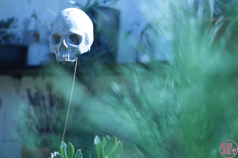 UN4RT imaginarium – white human skull floating on a thin gold chain above lush green grass, dark surreal still life photography.