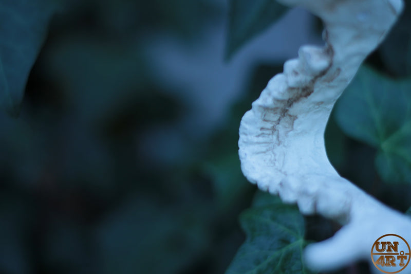 UN4RT imaginarium – underside of a white upper jaw with teeth in front of dark green leaves, dark moody macro nature photography.