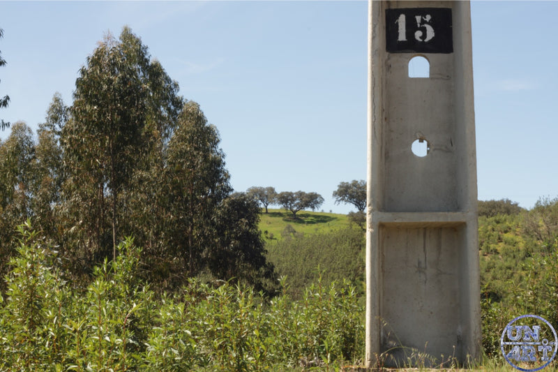 UN4RT imaginarium – weathered concrete roadside marker post numbered 15 standing among dense green shrubs under a bright blue sky in a rural Portuguese landscape, minimalist documentary street photography.