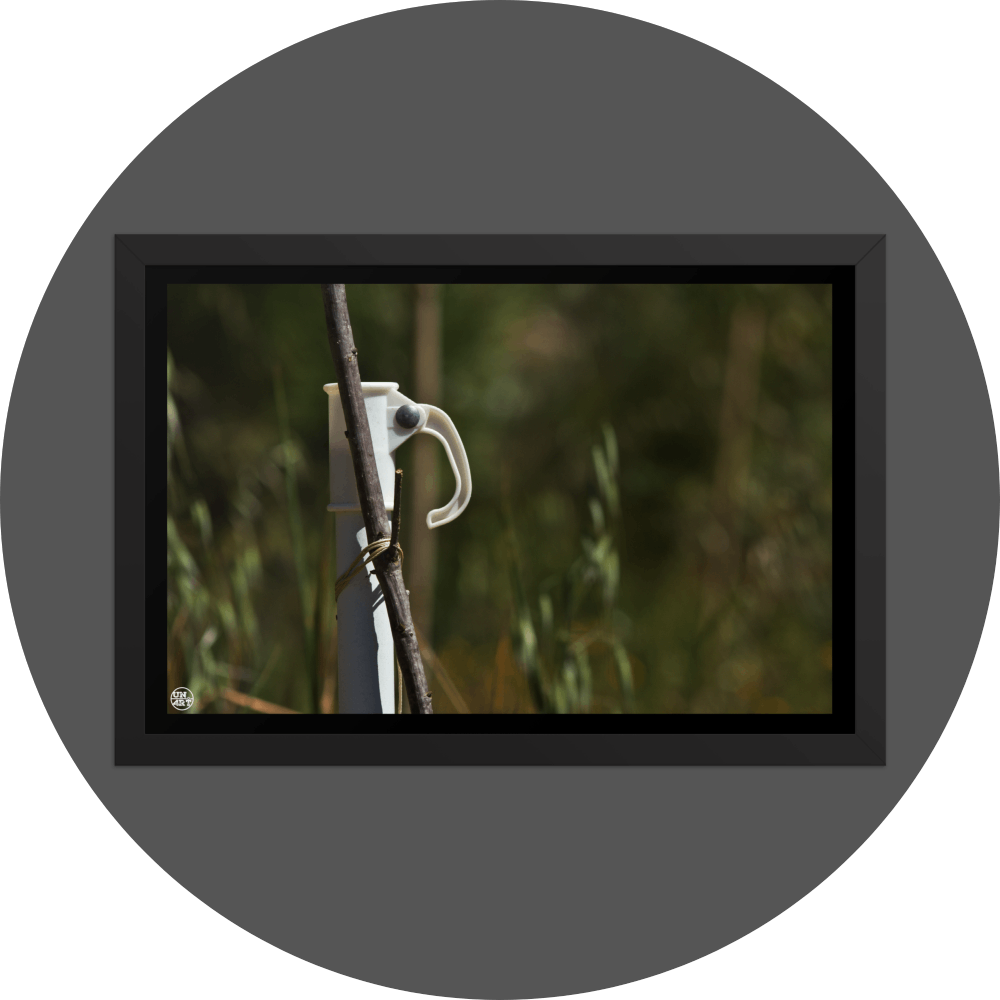 un4rt - the photographie shows a white umbrella stand with a wooden stick attached to it. the wooden stick is tied to the stand. very unsharp background with young trees and wild greenery.