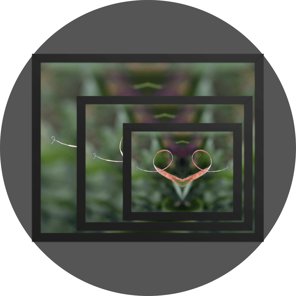 un4rt - the image shows 3 different sizes of the same photographie on top of each other. large size in the back, medium size in the middle and small size on top. the photographie is doubled and then mirrored to create the final image. the image shows a dried blade of grass that has curled up twice. the background is blurry and colored in various tones of green and a bit of purple.