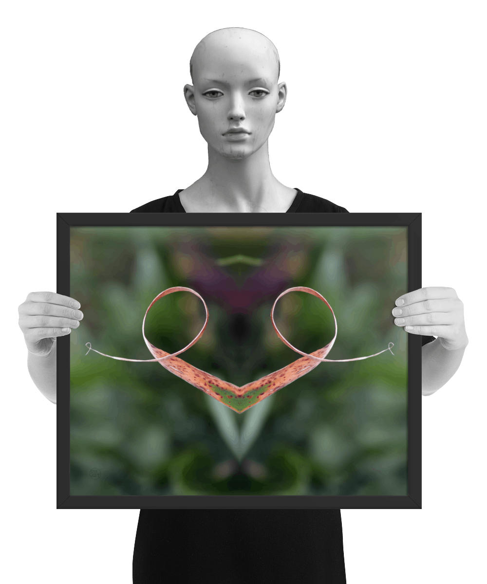 un4rt - the photographie is doubled and then mirrored to create the final image. the image shows a dried blade of grass that has curled up twice. the background is blurry and colored in various tones of green and a bit of purple. the image is framed and presented by a mannequin in black and white.