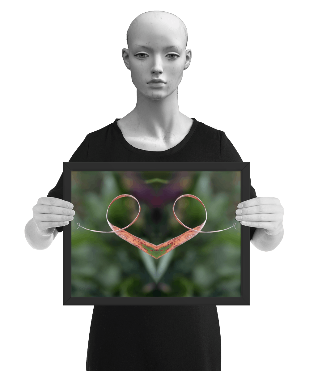 un4rt - the photographie is doubled and then mirrored to create the final image. the image shows a dried blade of grass that has curled up twice. the background is blurry and colored in various tones of green and a bit of purple. the image is framed and presented by a mannequin in black and white.