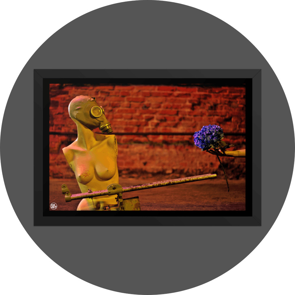 un4rt - the photographie shows a topless body of a mannequin without arms. the face is covered with a gas mask. an old steel pipe structure in front of the mannequin that looks like a weapon, but it´s not. a hand is holding a blue hydrangea and offers it to the mannequin. a brick stone wall in the background.