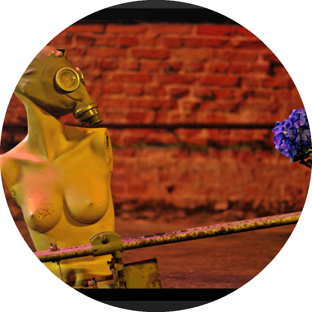 un4rt - the photographie shows a topless body of a mannequin without arms. the face is covered with a gas mask. an old steel pipe structure in front of the mannequin that looks like a weapon, but it´s not. a hand is holding a blue hydrangea and offers it to the mannequin. a brick stone wall in the background.