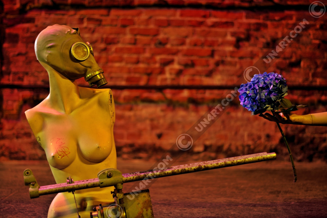 un4rt - the photographie shows a topless body of a mannequin without arms. the face is covered with a gas mask. an old steel pipe structure in front of the mannequin that looks like a weapon, but it´s not. a hand is holding a blue hydrangea and offers it to the mannequin. a brick stone wall in the background.