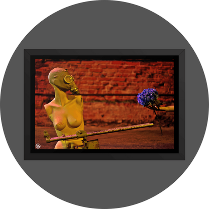 un4rt - the photographie shows a topless body of a mannequin without arms. the face is covered with a gas mask. an old steel pipe structure in front of the mannequin that looks like a weapon, but it´s not. a hand is holding a blue hydrangea and offers it to the mannequin. a brick stone wall in the background.