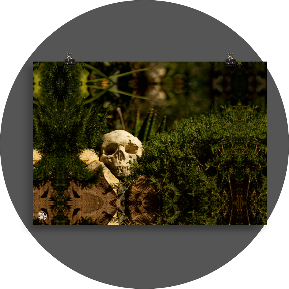 un4rt - a mirror-framed photographie of a skull on top of a stone wall. the skull is surrounded by plants with very small leaves. blurry background.