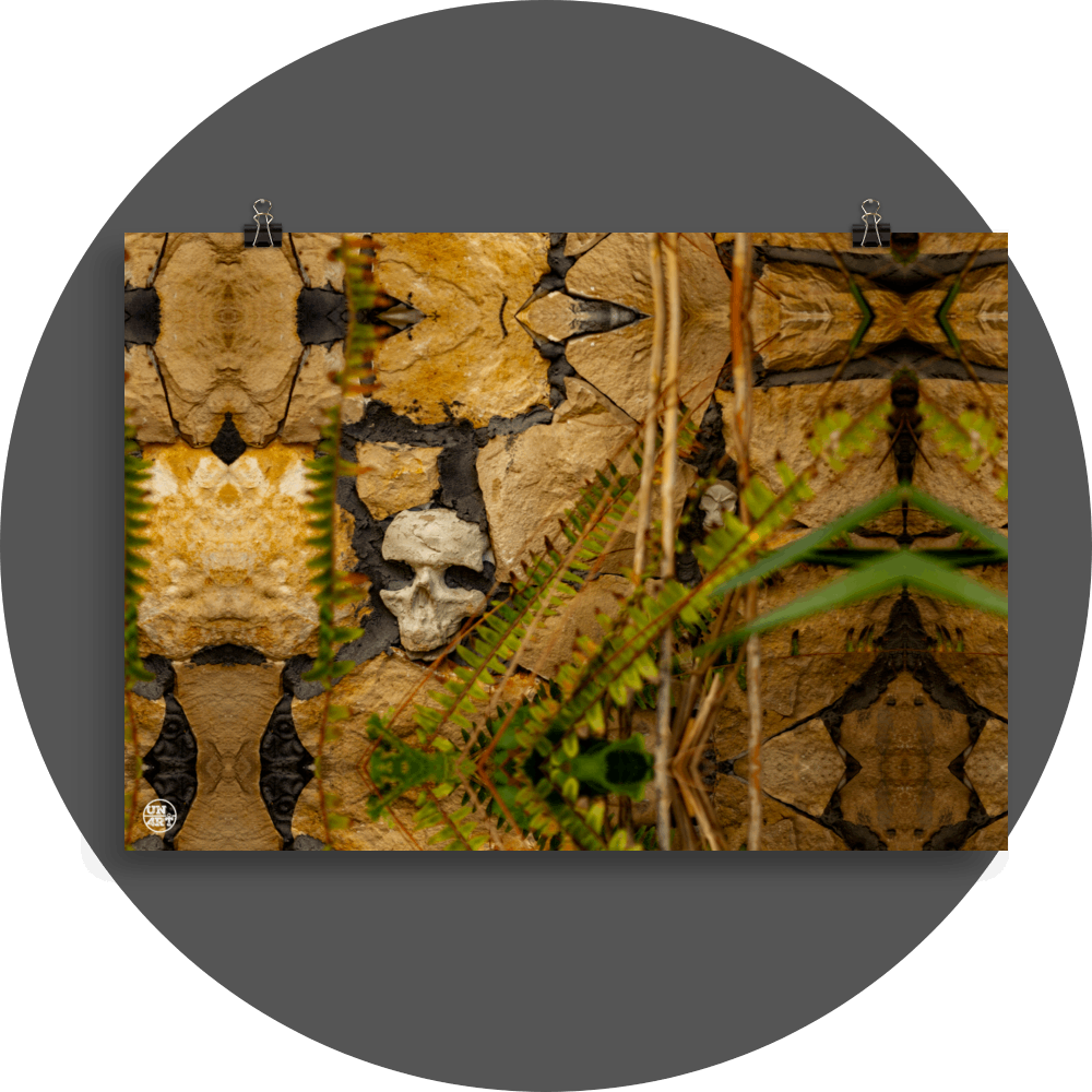 un4rt - a mirror-framed photographie of a skull embedded in a stone wall. the holes of the eyes are filled with concrete. some plants in front of the stone wall.