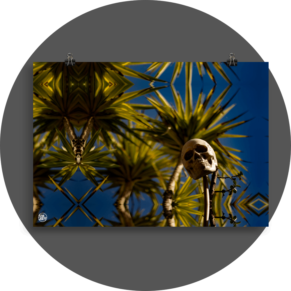 un4rt - a mirror-framed photographie of a skull on a stick. various yucca trees with a lot of leaves in the background and a blue sky.