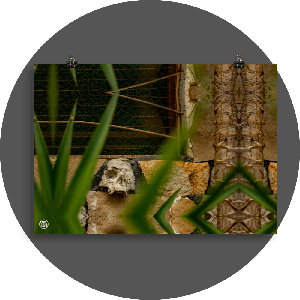 un4rt - a mirror-framed photographie of a tiny and destructed skull inside a stone wall. there is a window above the skull and a trunk of a yucca tree next to it. some yucca leaves are covering the scene.