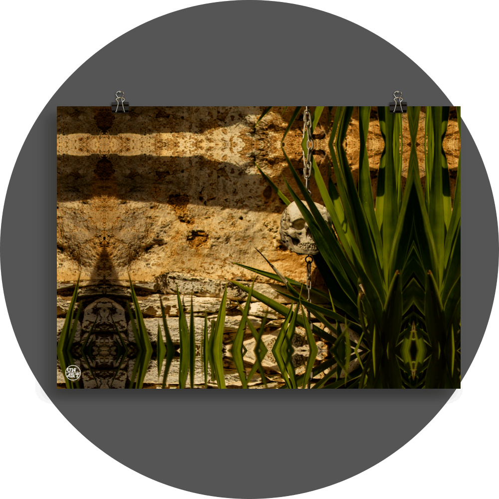 un4rt - a mirror-framed photographie of a tiny skull hanging on a chain in front of an old wall. some parts of the skull are covered from a yucca.