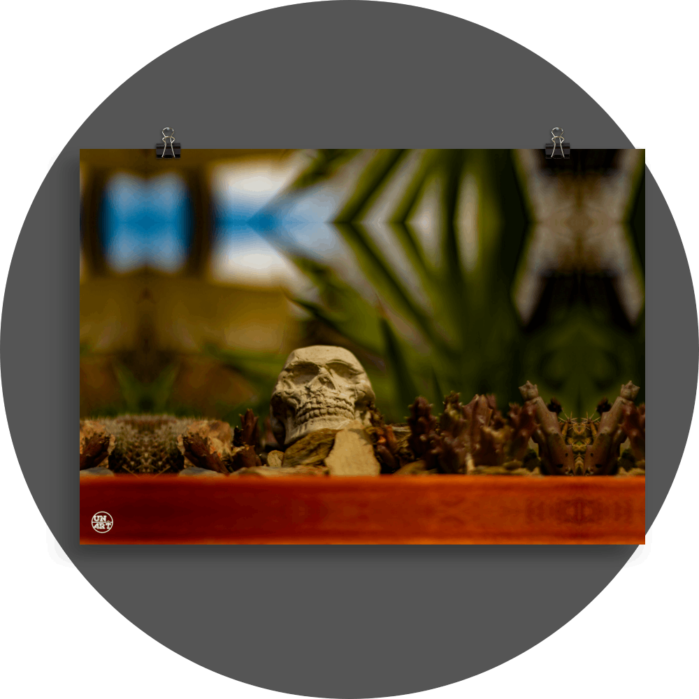 un4rt - a mirror-framed photographie of a tiny skull inside a flower pot surrounded by small cactuses. the background is very blurry.
