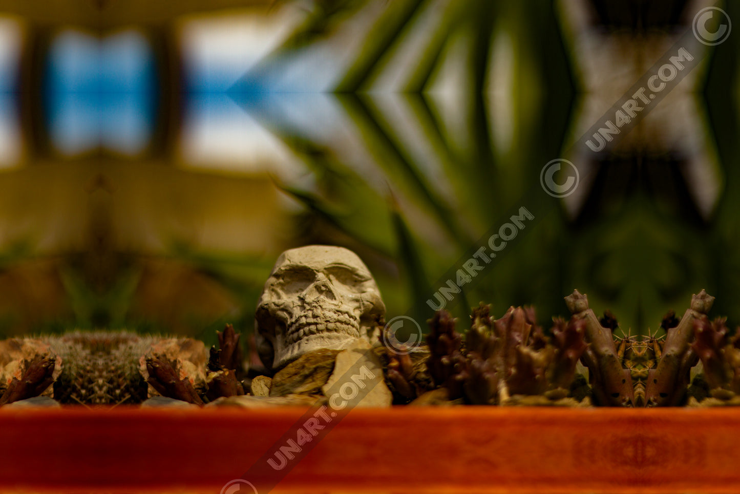 un4rt - a mirror-framed photographie of a tiny skull inside a flower pot surrounded by small cactuses. the background is very blurry.