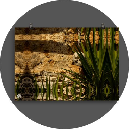 un4rt - a mirror-framed photographie of a tiny skull hanging on a chain in front of an old wall. some parts of the skull are covered by a yucca.