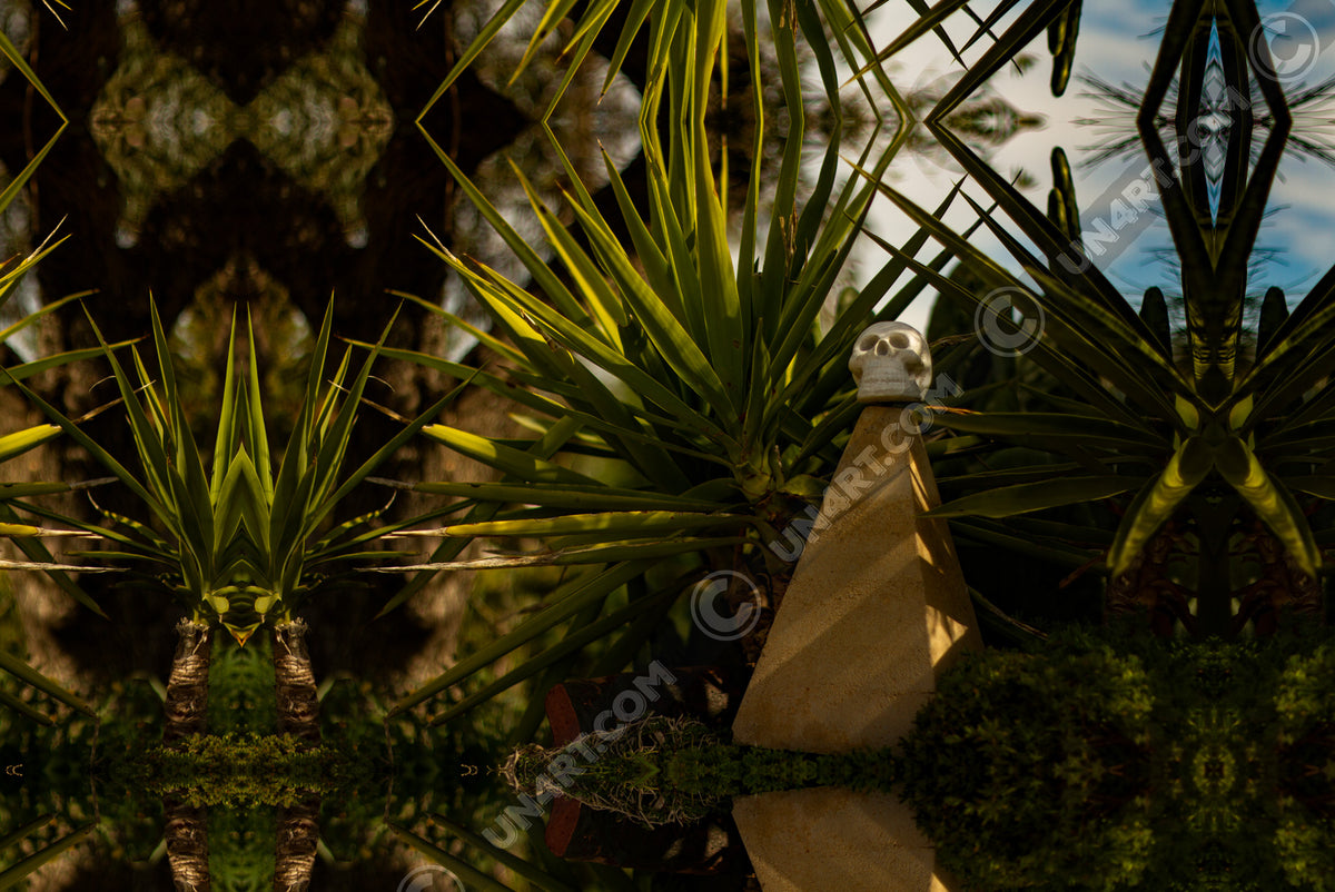 un4rt - a mirror-framed photographie of a tiny skull on top of a small pyramid. the skull is surrounded by plants. blurry background.
