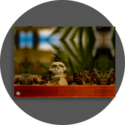un4rt - a mirror-framed photographie of a tiny skull inside a flower pot surrounded by small cactuses. the background is very blurry.