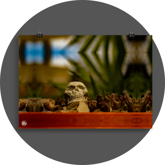 un4rt - a mirror-framed photographie of a tiny skull inside a flower pot surrounded by small cactuses. the background is very blurry.