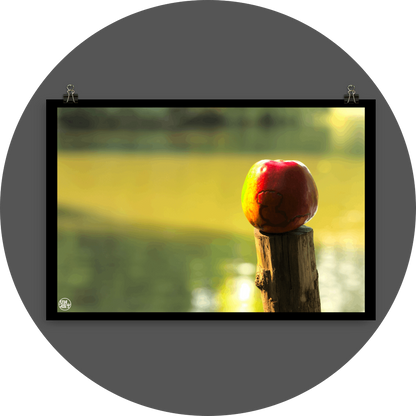 un4rt - photographie of a red and yellow apple on a cutted tree trunk in font of a lake. the apple shows traces of a worm under its skin. the surface of the lake is unfocused.
