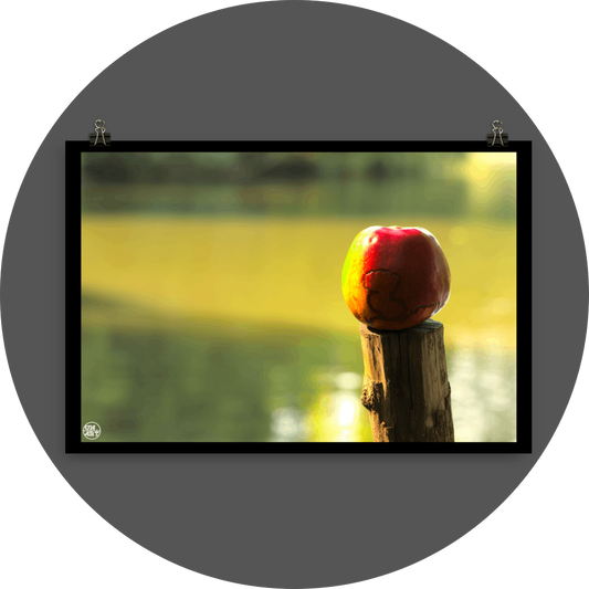 un4rt - photographie of a red and yellow apple on a cutted tree trunk in font of a lake. the apple shows traces of a worm under its skin. the surface of the lake is unfocused.