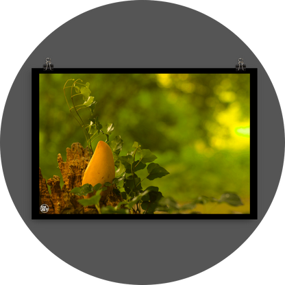 un4rt - photographie of a yellow mango in a forest. the mango is placed on top of a rotten tree trunk. some ivy around the mango. blurry and defocused background.
