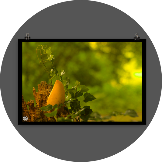 un4rt - photographie of a yellow mango in a forest. the mango is placed on top of a rotten tree trunk. some ivy around the mango. blurry and defocused background.