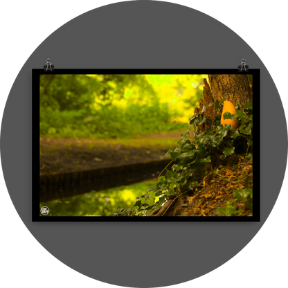 un4rt - photographie of a yellow mango in a forest. the mango is placed next to a rotten tree trunk. some ivy around the mango. a water ditch and lots of leaves in the background. bookeh.