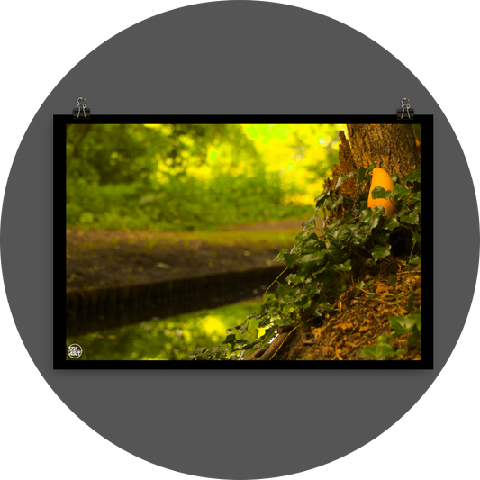 un4rt - photographie of a yellow mango in a forest. the mango is placed next to a rotten tree trunk. some ivy around the mango. a water ditch and lots of leaves in the background. bookeh.